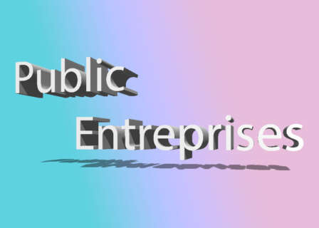 Public Enterprises