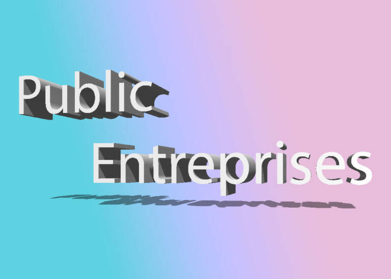 Public Enterprises